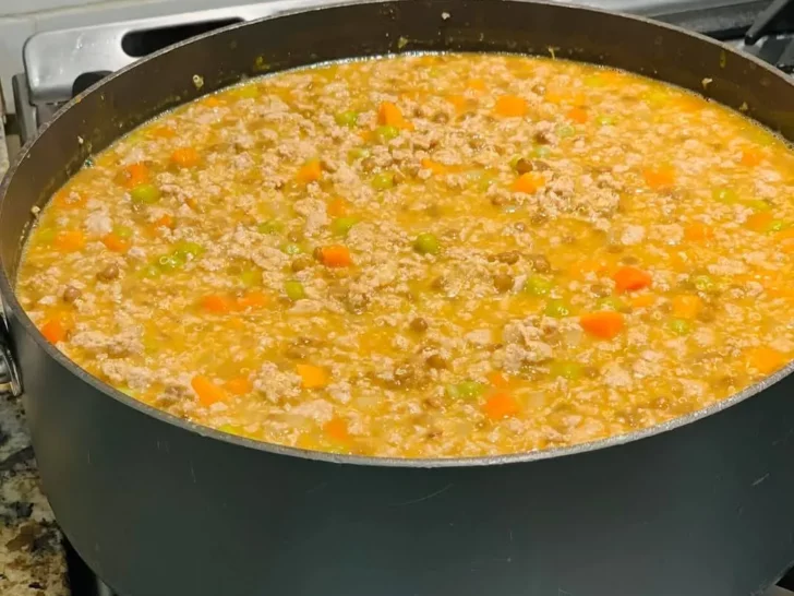 Homemade Hypoallergenic Dog Food Recipe: A Solution for Itchy Skin and Allergies