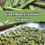 A batch of homemade green bean crunchies for dogs, crispy and nutritious, laid out on a baking sheet.
