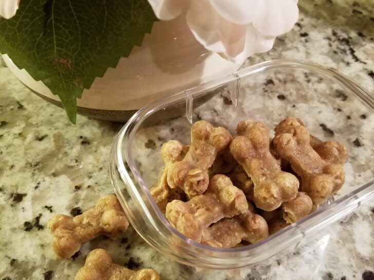 Crunchy Apple Cinnamon Baked Bones Recipe for DogsThe cozy, tail-wagging treat your pup will adore!